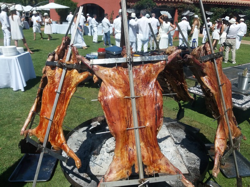 El Embajador de la Pampa presta servicio en la subcategoría de  en 