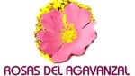 Floristeria Rosas de Agavanzal