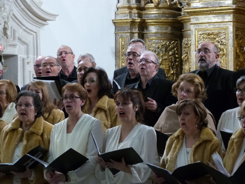 CORAL TABAQUERA ALICANTINA presta servicio en la subcategoría de  en 