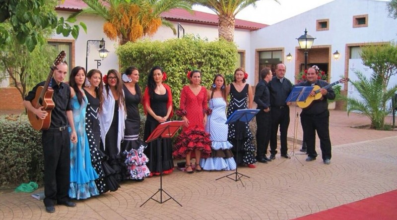 ROYAL VIP - HISPATAURO presta servicio en la subcategoría de  en 