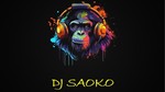 DJ y DISCOMÓVIL SAOKO