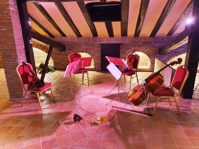 Cuarteto Diverdi presta servicio en la subcategoría de  en 