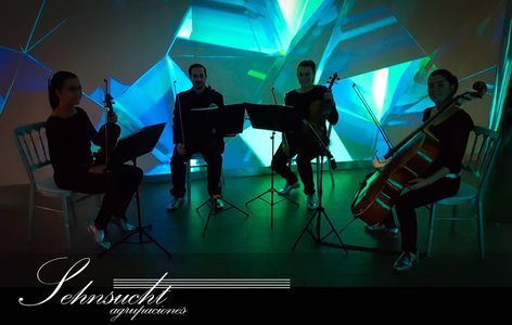 Sehnsucht Agrupaciones presta servicio en la subcategoría de Música clásica, Ópera y Coros en Málaga