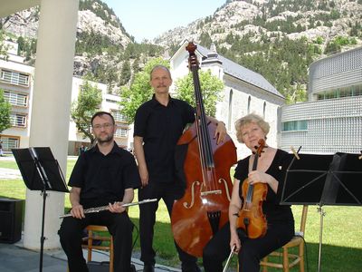 Grupo Elegia presta servicio en la subcategoría de Música clásica, Ópera y Coros en Zaragoza