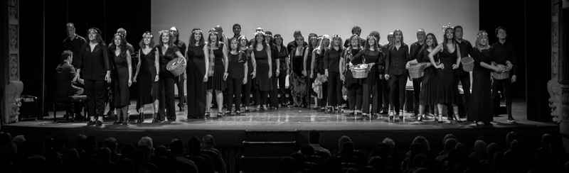 Coro del Teatro Principal de Alicante presta servicio en la subcategoría de  en 