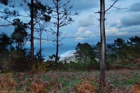 Daniel Súarez Fotografía presta servicio en la subcategoría de Fotógrafos fiestas, comuniones o bautizos en A Coruña