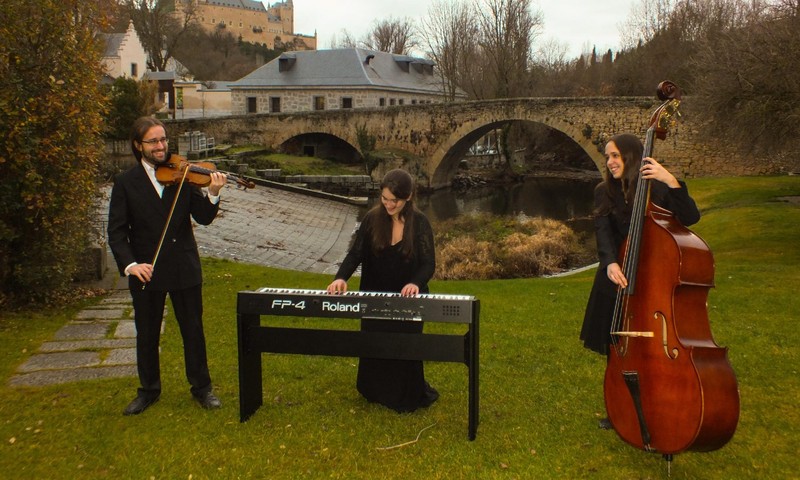 Musica Tempus presta servicio en la subcategoría de  en 