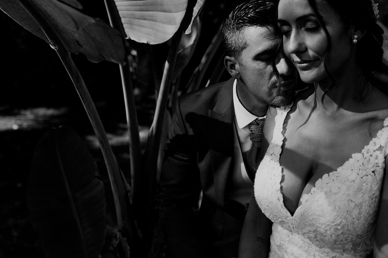 Studio Fused presta servicio en la subcategoría de  en 