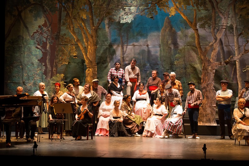 Compañía Lírica Alicantina presta servicio en la subcategoría de  en 