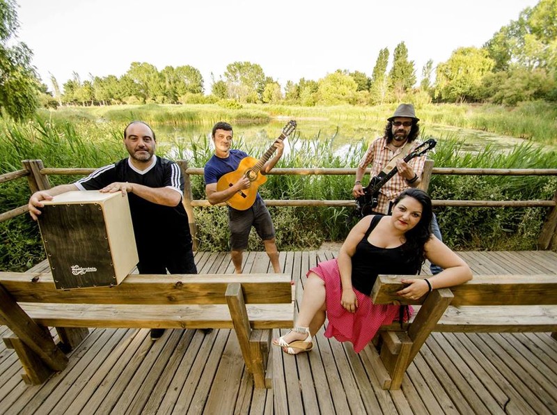 Zambra Fusión Rumbera presta servicio en la subcategoría de  en 