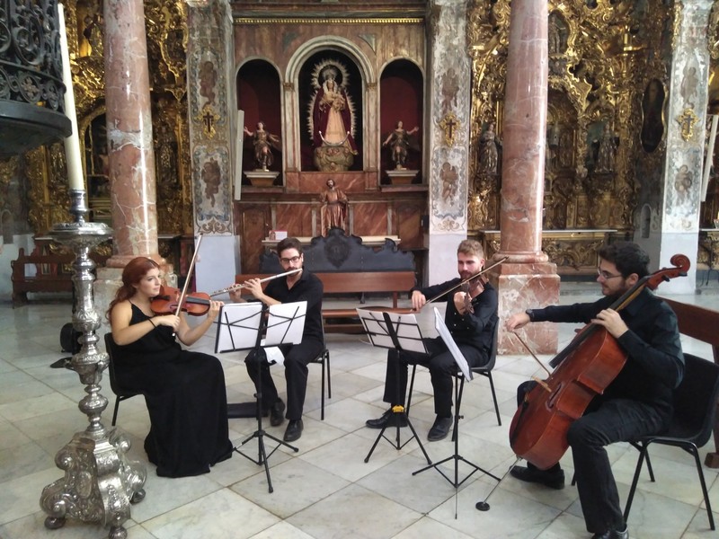 Sentir Sonoro presta servicio en la subcategoría de  en 