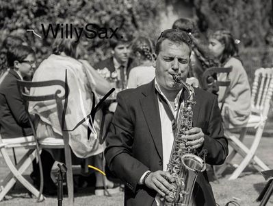 Saxofonista para Bodas presta servicio en la subcategoría de Grupos de Jazz en Sevilla