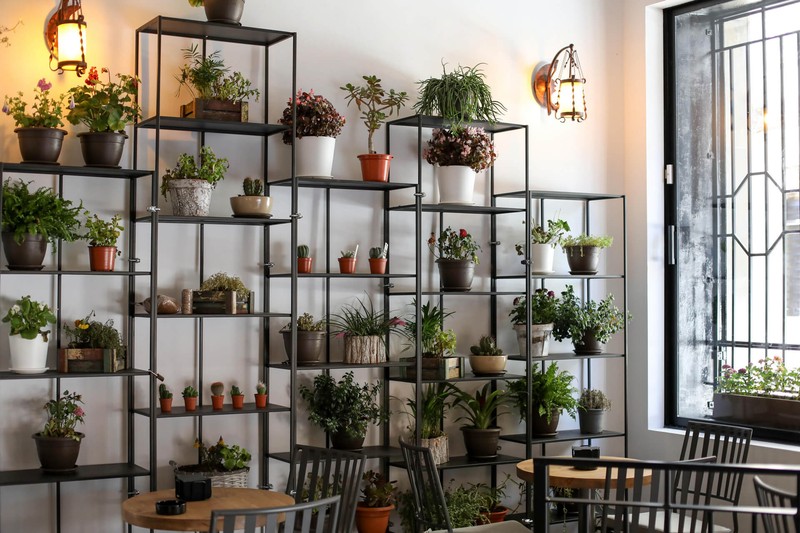 Restaurante Calabozo presta servicio en la subcategoría de  en 