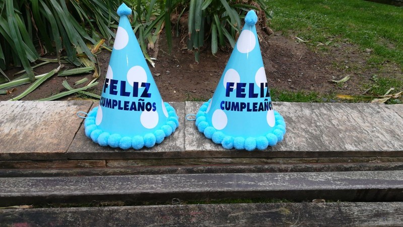 Topis Animadoras presta servicio en la subcategoría de  en 