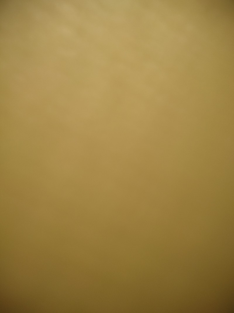 Dani solo presta servicio en la subcategoría de  en 