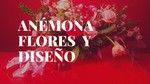 Anémona flores & diseño