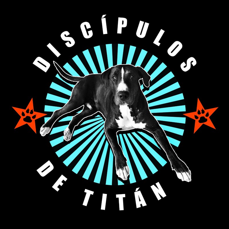 DISCÍPULOS DE TITÁN presta servicio en la subcategoría de  en 