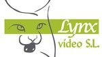 Lynx vídeo