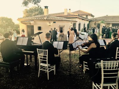 GDBodas - Eventos Musicales presta servicio en la subcategoría de Orquestas, cantantes y grupos en Alicante