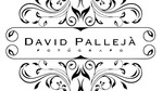 David pallejà Fotógrafia
