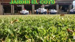 Jardin el Coto