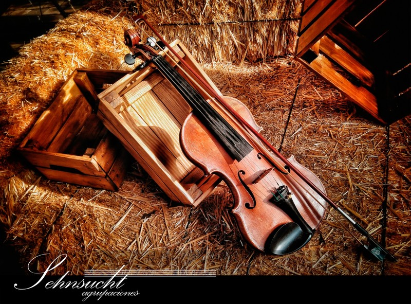 Sehnsucht Agrupaciones presta servicio en la subcategoría de  en 