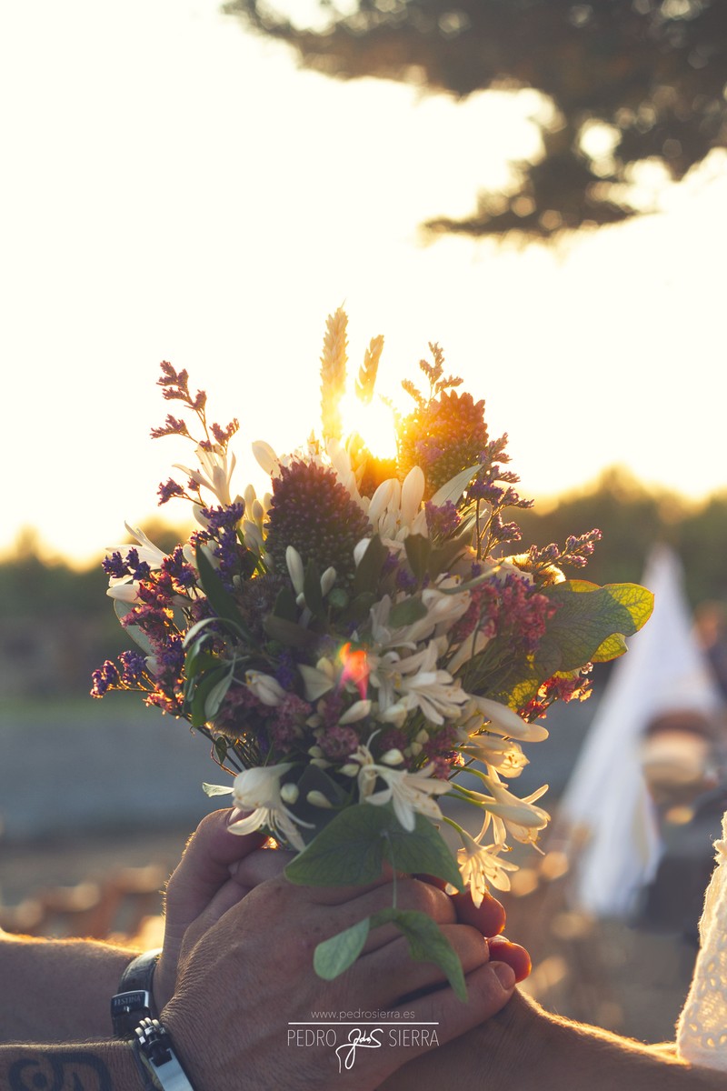 Àbac Comunicació Visual. Productora foto y video presta servicio en la subcategoría de  en 