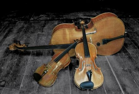 Cuarteto Cervantes presta servicio en la subcategoría de Música clásica, Ópera y Coros en Madrid