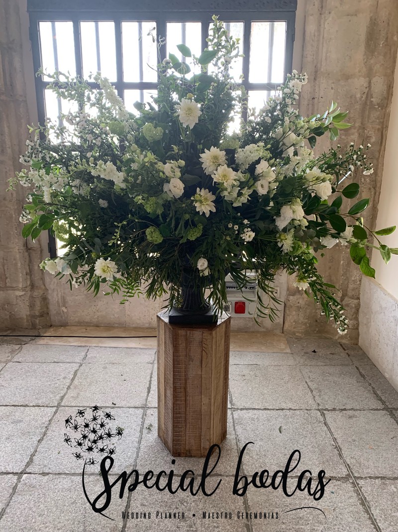 María Prieto presta servicio en la subcategoría de  en 