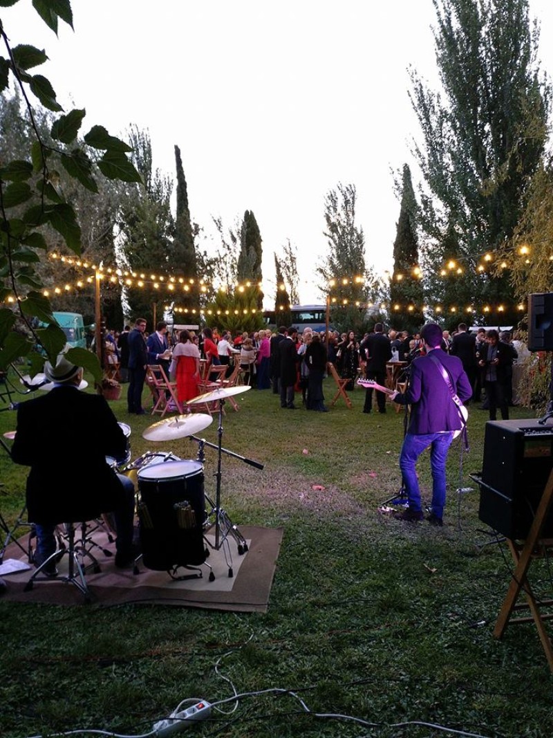 The Cucumbers presta servicio en la subcategoría de  en 