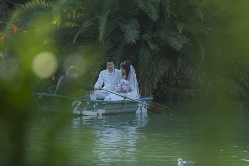 Attig Photography presta servicio en la subcategoría de  en 