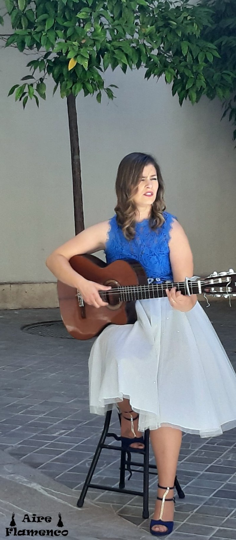 Aire Flamenco presta servicio en la subcategoría de  en 