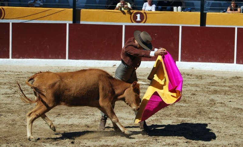 ROYAL VIP - HISPATAURO presta servicio en la subcategoría de  en 