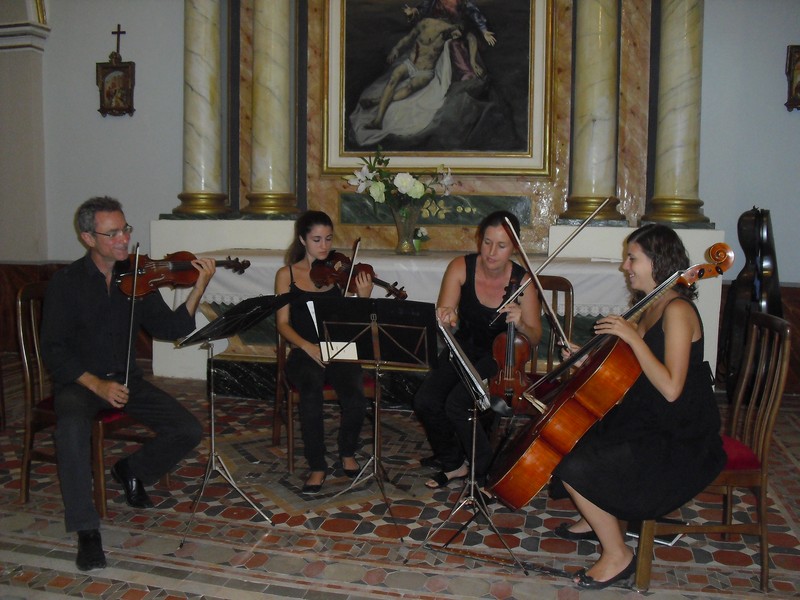 Grupo Adagio presta servicio en la subcategoría de  en 