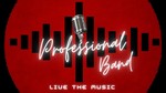 Empresa de Orquestas, cantantes y grupos en Madrid Professional Band