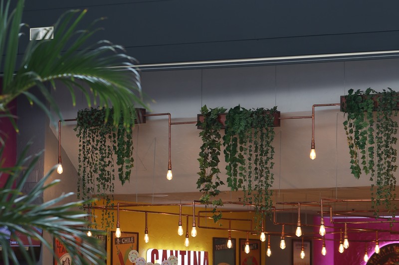 Cantina Mariachi Príncipe de Vergara presta servicio en la subcategoría de  en 