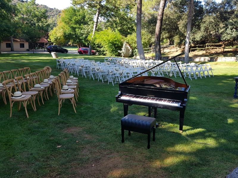 Call & Play Bodas y Eventos presta servicio en la subcategoría de  en 