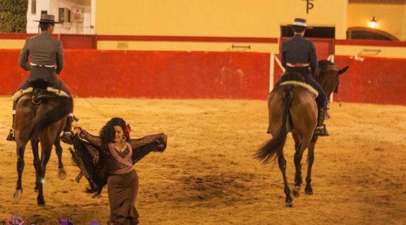 ROYAL VIP - HISPATAURO presta servicio en la subcategoría de  en 