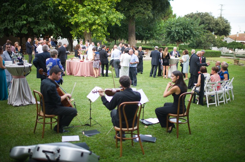 Ligna Música presta servicio en la subcategoría de  en 