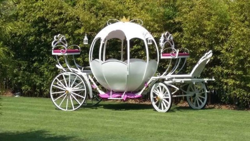 Natalí Gold EVENT presta servicio en la subcategoría de  en 