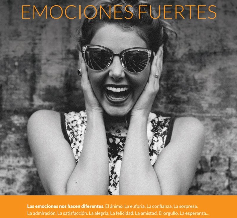 TALISMAN GROUP presta servicio en la subcategoría de  en 