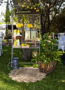 NinomiyaEventos presta servicio en la subcategoría de Wedding planner en Madrid