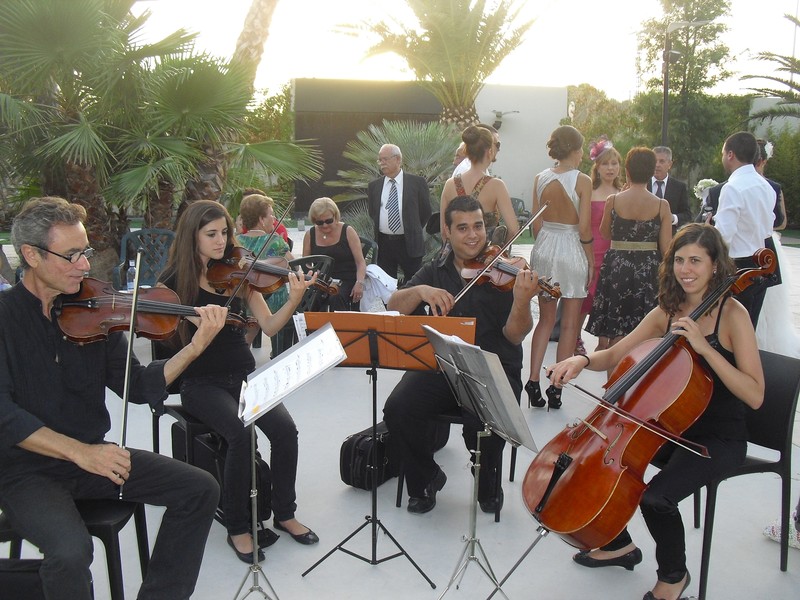 Grupo Adagio presta servicio en la subcategoría de  en 