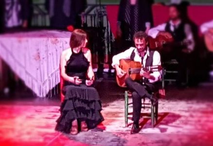 Cía flamenco presta servicio en la subcategoría de Flamenco y Coros Rocieros en Sevilla