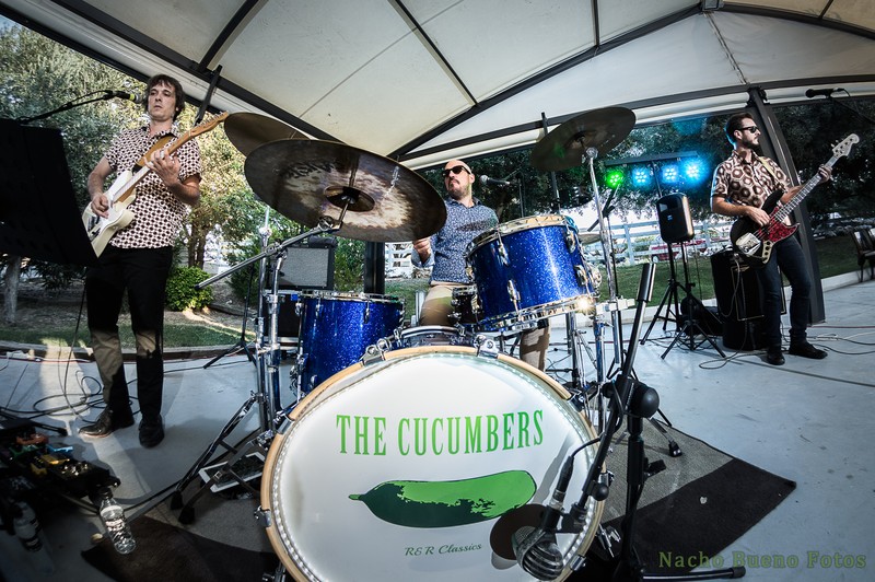 The Cucumbers presta servicio en la subcategoría de  en 