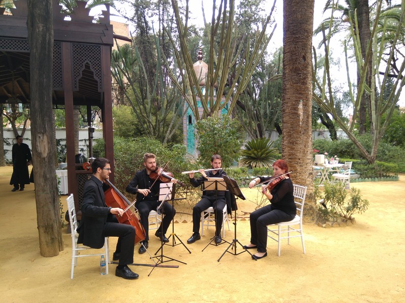 Sentir Sonoro presta servicio en la subcategoría de  en 