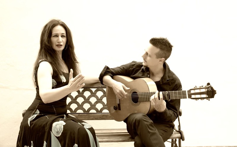 Taracea presta servicio en la subcategoría de  en 