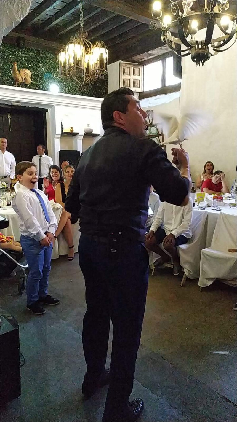 Jose Foronda - Mago Tenerife presta servicio en la subcategoría de  en 