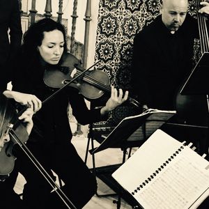 Trío Bottesini presta servicio en la subcategoría de Música clásica, Ópera y Coros en Sevilla