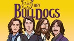 Hey Bulldogs